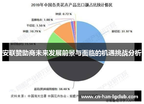 安联赞助商未来发展前景与面临的机遇挑战分析